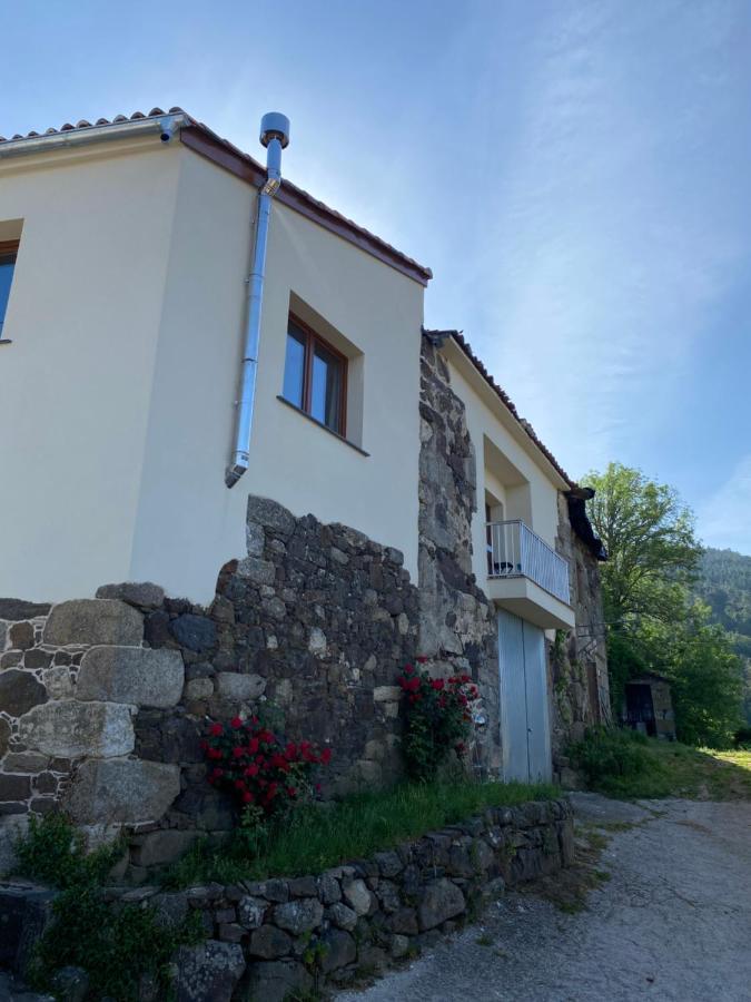 Farm House In Ribeira Sacra O Carballo エクステリア 写真